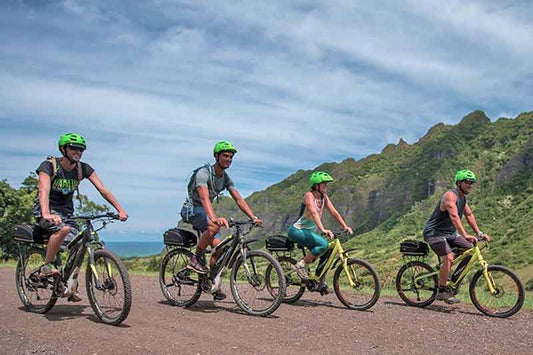 E-Bike Guided Tour